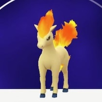 シャドウポニータが激レア化？ ロケット団したっぱの使用ポケモンが不自然に変更される現象が発生【ポケモンGO】