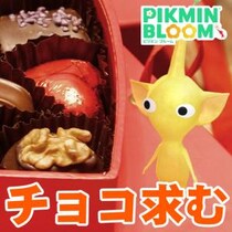 『ピクミン ブルーム』チョコ祭り前夜!! このドキドキは恋や動悸かバレンタインイベントおさらいガイド【プレイログ#1095】