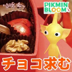 『ピクミン ブルーム』チョコ祭り前夜!! このドキドキは恋や動悸かバレンタインイベントおさらいガイド【プレイログ#1095】