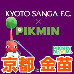 『ピクミン ブルーム』京都に急げ!! ユニフォームが話題になったプロサッカークラブに激アツ新展開があった件【プレイログ#1096】