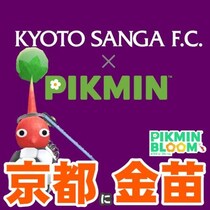 『ピクミン ブルーム』京都に急げ!! ユニフォームが話題になったプロサッカークラブに激アツ新展開があった件【プレイログ#1096】