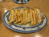 【宇都宮グルメ】「ライス・ビールは御座いません」　餃子通り屈指の人気店！　「餃子専門店 正嗣」【餃子】