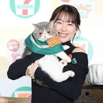 セブンイレブン“猫の日”新作6種類登場！ 三毛猫や肉球のスイーツがお目見え