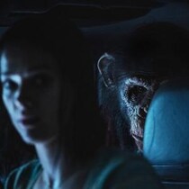 可愛いと怖いが交錯する“kowaii”を体験せよ！　映画『おさるのベン』ヨハネス・ロバーツ監督インタビュー