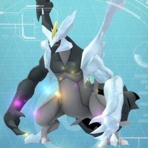 ブラック＆ホワイトキュレムの全力周回をする日 / 神イベント「カロスへの道」5日目ガイド【ポケモンGO】