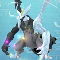 ブラック＆ホワイトキュレムの全力周回をする日 / 神イベント「カロスへの道」5日目ガイド【ポケモンGO】