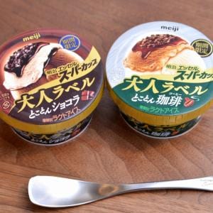 チョコとコーヒーアイス好き熱狂の「冬限定エッセル」が進化して今年も出たよ～