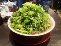京都人に聞きたいのだけどラーメンは「新福菜館」と「第一旭」どっちが好きなのですか