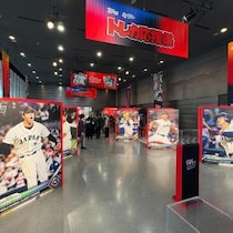 約4.6億円の大谷翔平カードが日本初上陸！ Topps「WBCトレカ応援祭」内覧会で見た”スポーツトレカの現在地”