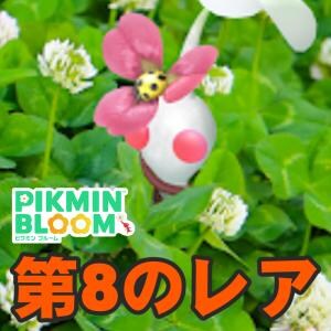 『ピクミン ブルーム』クローバーにレアデコ!! コレクション要素がさらに増した最新環境ガイド【プレイログ#1109】