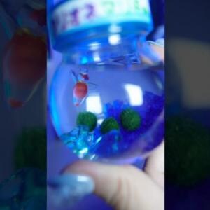 ASMR×ときめくガジェット紹介! 青い部屋が目印です『夜もすがラボ-Yomosuga Lab』を紹介! チャンネルウォッチ 3/18号