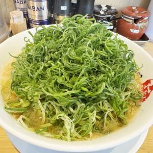 超人気グラビアアイドルだった女子が大絶賛する東京都のラーメン屋「ますたに」で食べる最適な方法