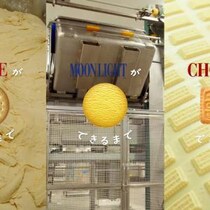 いつも食べている“おやつ”の誕生過程がわかる！人気ビスケット製造工場の裏側をショート動画で公開