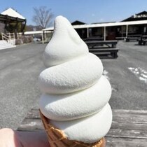 【極上グルメ】めちゃくちゃ美味いソフトクリームが食べられる日光霧降高原「大笹牧場」がスゴイ