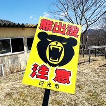 クマ出没注意看板コレクターの収集レポート / 2026年現在→ いままで何回ぐらい熊に遭遇したのか