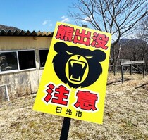 クマ出没注意看板コレクターの収集レポート / 2026年現在→ いままで何回ぐらい熊に遭遇したのか