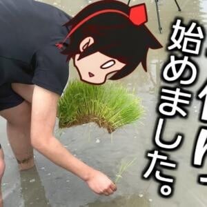 平日は社会人、休日は島の探求者。心に残り続ける一編を！『しゃちてんproject』を紹介！ チャンネルウォッチ 4/8号