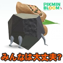 『ピクミン ブルーム』歩数カウントされず!? 通信障害で少しザワついたコミュニティ・デイ初日リポート【プレイログ#1121】