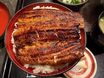 【鹿児島グルメ】あの松重豊さんも来店！　昭和21年創業のうなぎ料理専門店「松重」(まつじゅう)
