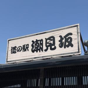 【静岡県グルメ】道の駅「潮見坂」に行って驚かされた件