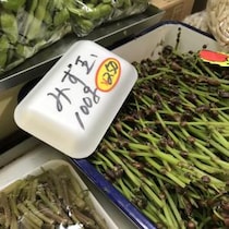 【秋田・佐渡・岩手・青森編】地方に行ってこういうのが売られていると「いま地方にいるな」って思えて癒やされるよなあ