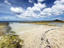 ナウル共和国に行って出会った心に残る風景10選