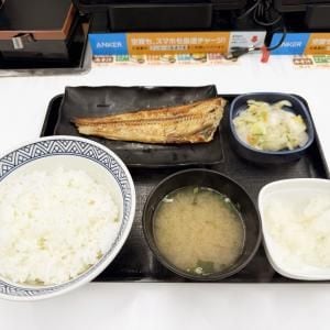 ほっけマニアが吉野家の「ほっけ定食」を食べましたよ