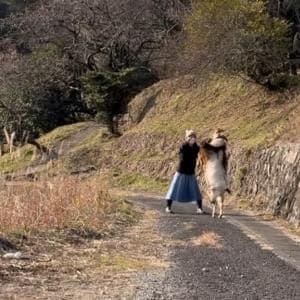 ヤギと猫と人間が登場！ 田舎暮らしの記録『くまの里山日記』を紹介！ チャンネルウォッチ 5/14号