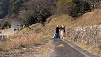 ヤギと猫と人間が登場！ 田舎暮らしの記録『くまの里山日記』を紹介！ チャンネルウォッチ 5/14号