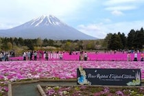 富士山と花に癒やされる。ピーターラビットの世界が広がる絶景スポット【山梨県・富士河口湖】