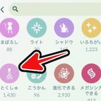 【ボックス整理】GOフェス東京前に1000枠空けるコツ / 色違いや“コス”を整頓する勇気を持とう【ポケモンGO】