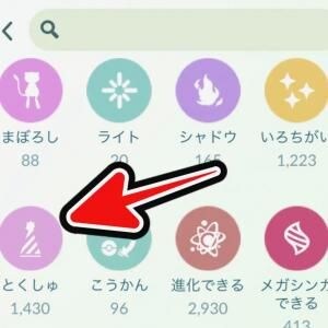 【ボックス整理】GOフェス東京前に1000枠空けるコツ / 色違いや“コス”を整頓する勇気を持とう【ポケモンGO】