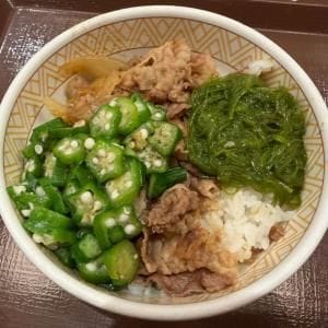 【グルメ】ネバネバとシャキシャキ　すき家で「めかぶオクラ牛丼」と「シャキうま塩野菜牛丼」を食べてみた