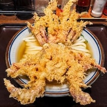 ハサミで切って食べる「ゲソ天うどん」が美味しい件 / 東京都の香川一福