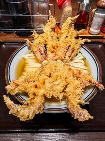 ハサミで切って食べる「ゲソ天うどん」が美味しい件 / 東京都の香川一福
