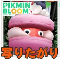 『ピクミン ブルーム』ドアップで攻めていけ!! 大人気な構図がテーマに選ばれちゃった最新の公式SNS企画ガイド【プレイログ#1145】