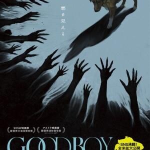 愛犬をホラー映画の“主演俳優”に　全編犬視点の異色映画『GOOD BOY／グッド・ボーイ』を監督＆プロデューサーが語る［ホラー通信］