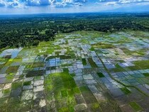 【世界の機窓から】インド・ニューデリーからダージリンへ / トゥルシプルを経てマハラジガンジ