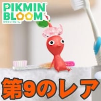 『ピクミン ブルーム』歯磨きにレアデコ!! 週末から登場する最新デコピクミン情報ガイド【プレイログ#1149】
