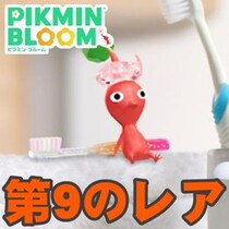 『ピクミン ブルーム』歯磨きにレアデコ!! 週末から登場する最新デコピクミン情報ガイド【プレイログ#1149】