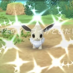 スポットライトアワーが毎週木曜日に復活 / ブイズの色違い厳選とマンムー量産が一気に進む【ポケモンGO】
