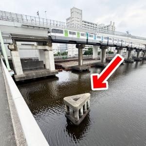【東京ミステリー】数兆円のビットコインが入ってるとの噂 / 野外に放置されたハードディスクの謎