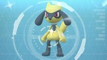 5kmタマゴでリオルをガンガン狙えるボーナスタイム / メガルカリオZのための個体値厳選が捗る【ポケモンGO】
