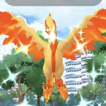 ガラル3鳥が普段より狙いやすい今がチャンス / シャドウディアルガの周回が“おさんぽおこう延長”に繋がる【ポケモンGO】