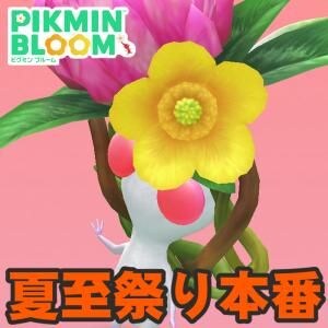 『ピクミン ブルーム』終了まであと半月!! 絶望的だったあの日から1週間が経過したミッドサマー進捗リポート【プレイログ#1152】