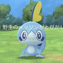 7月のコミュデイは「メッソン」で確定 / ハイドロカノン習得で高火力アタッカーが手に入る【ポケモンGO】