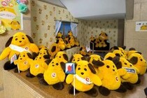 カスタム君、愛されすぎでは？ 横浜税関で見た想像以上の人気ぶり