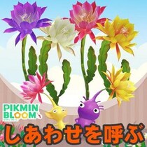 『ピクミン ブルーム』大輪を咲かせしあわせ掴め!! クジャクサボテンが咲く最新環境ガイド【プレイログ#1154】