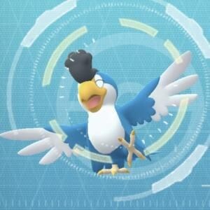 イキリンコの“ブルー”が出ないと話題 / 西半球限定なので日本では出現しません【ポケモンGO】