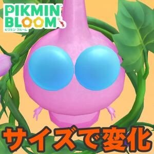 『ピクミン ブルーム』参加人数上限UP!! キノコの環境が大幅に変化した最新環境＆イベント進捗リポート【プレイログ#1156】